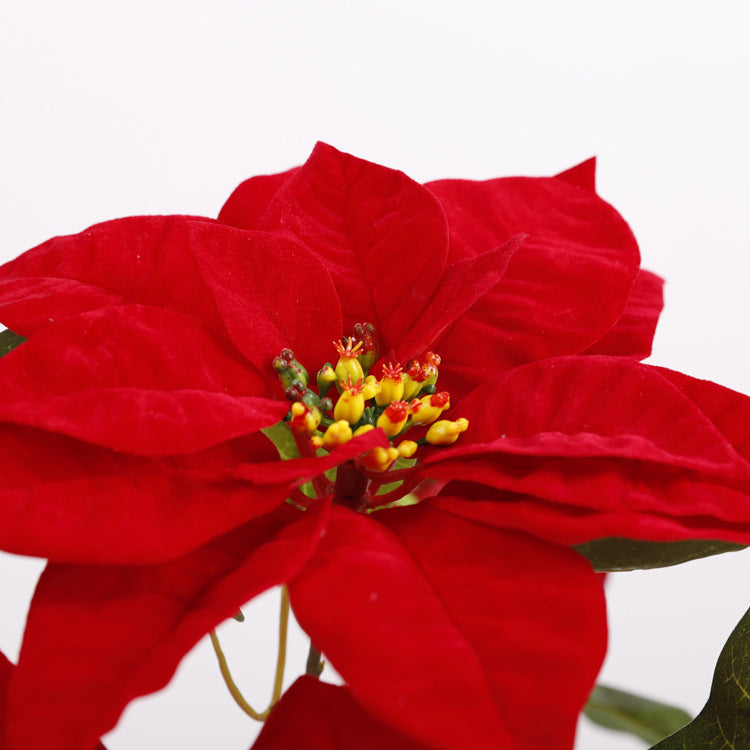 Lot de 5 tiges de poinsettia artificielles en velours de Noël, arbustes, fleurs en soie, vente en gros