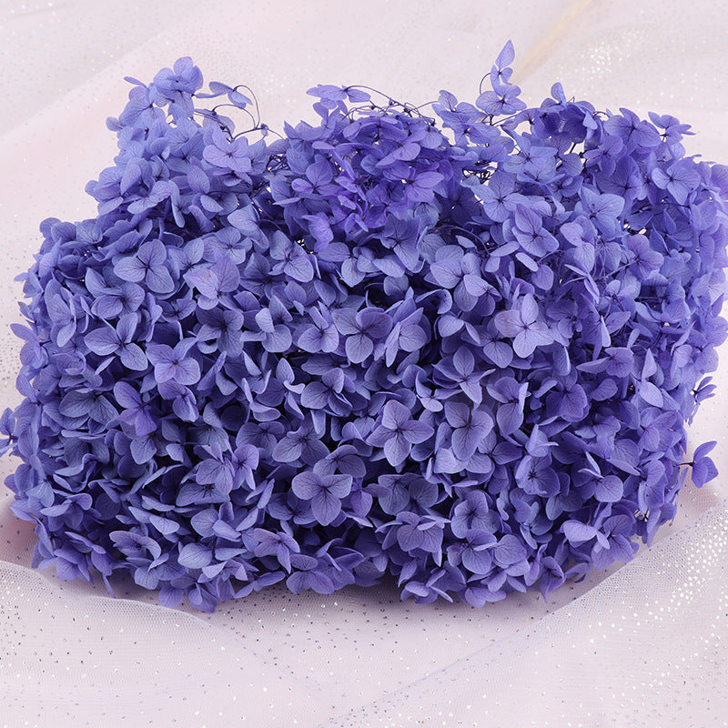 Bulk Preserved Large Hydrangea for Crafts Flowers Arrangements Wholesale