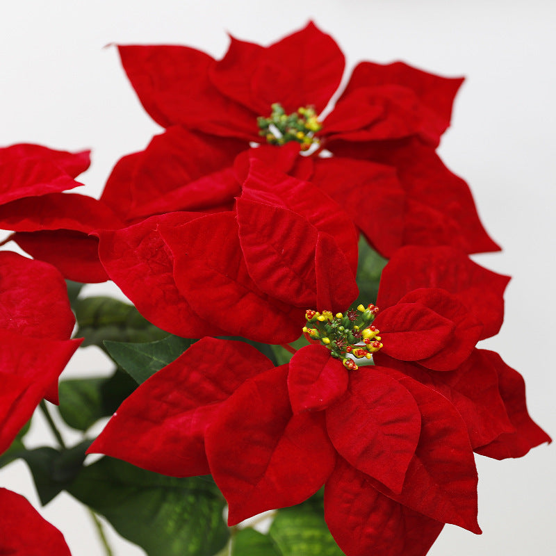 Lot de 5 tiges de poinsettia artificielles en velours de Noël, arbustes, fleurs en soie, vente en gros