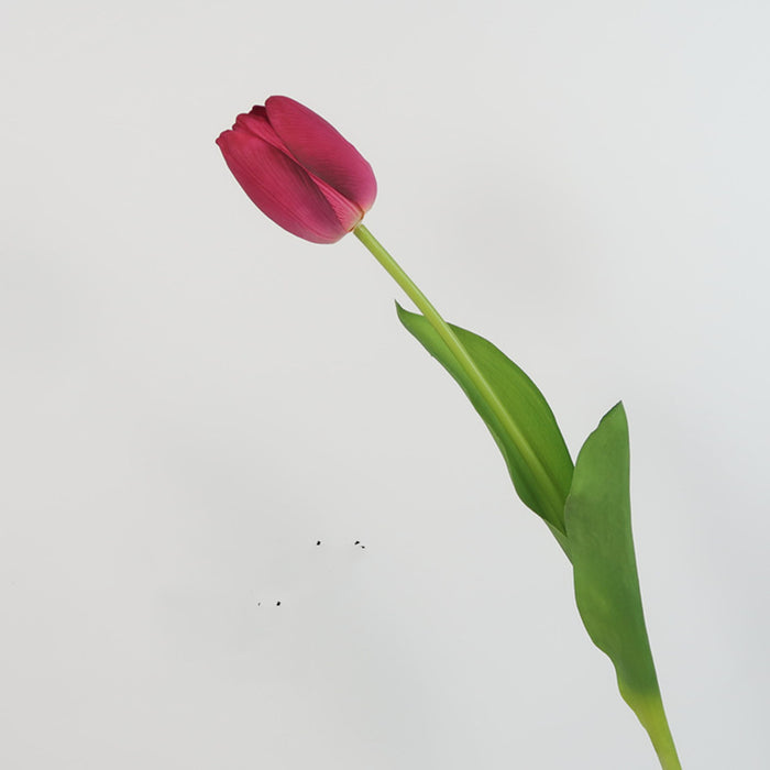 Premium Real Touch Tulip Bud Stem