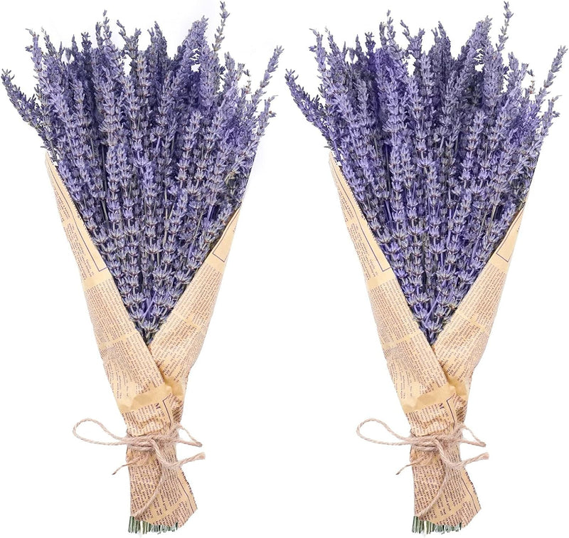 Lot de 2 paquets de tiges de lavande séchées en vrac Fleurs séchées en gros