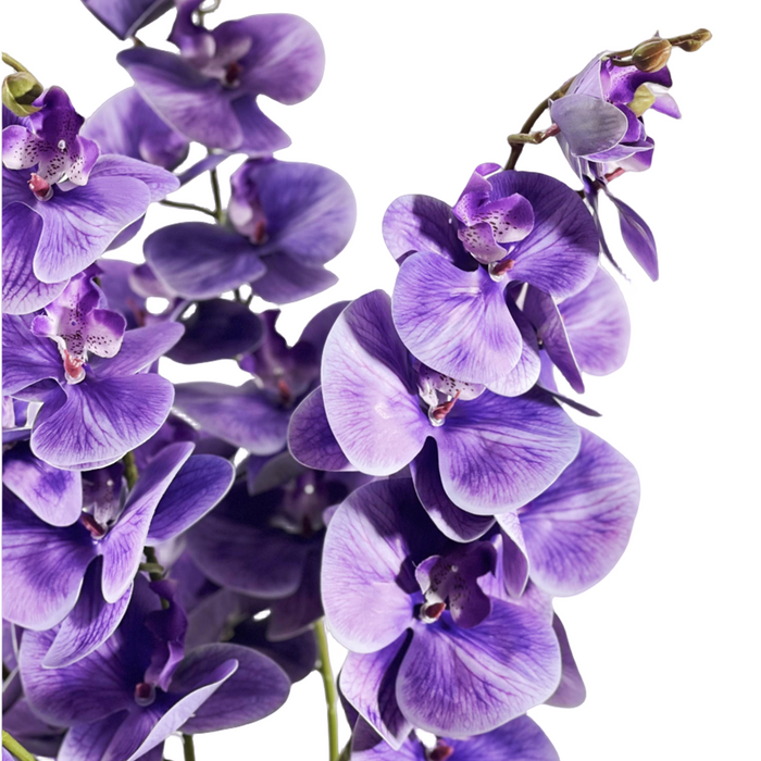 Bulk Exclusive 37" Wisteria Purple Phalaenopsis Orchids Long Stem Silk Flowers Centerpieces Wholesale