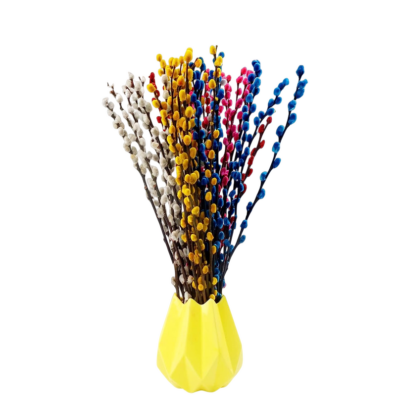 Bulk 20Pcs 17" Real Natural Dried Pussy Willow Branches Flowers Arrangements Wholesale