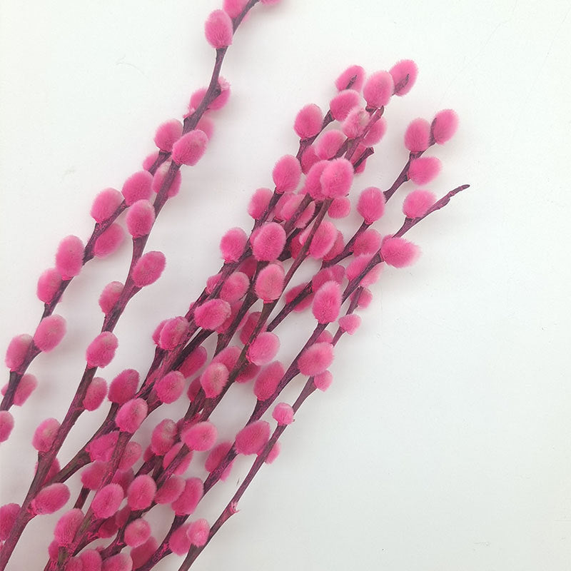 Bulk 20Pcs 17" Real Natural Dried Pussy Willow Branches Flowers Arrangements Wholesale