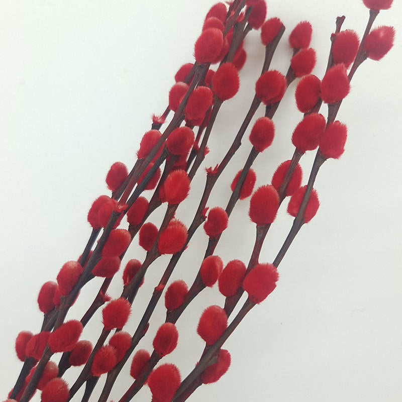 Bulk 20Pcs 17" Real Natural Dried Pussy Willow Branches Flowers Arrangements Wholesale