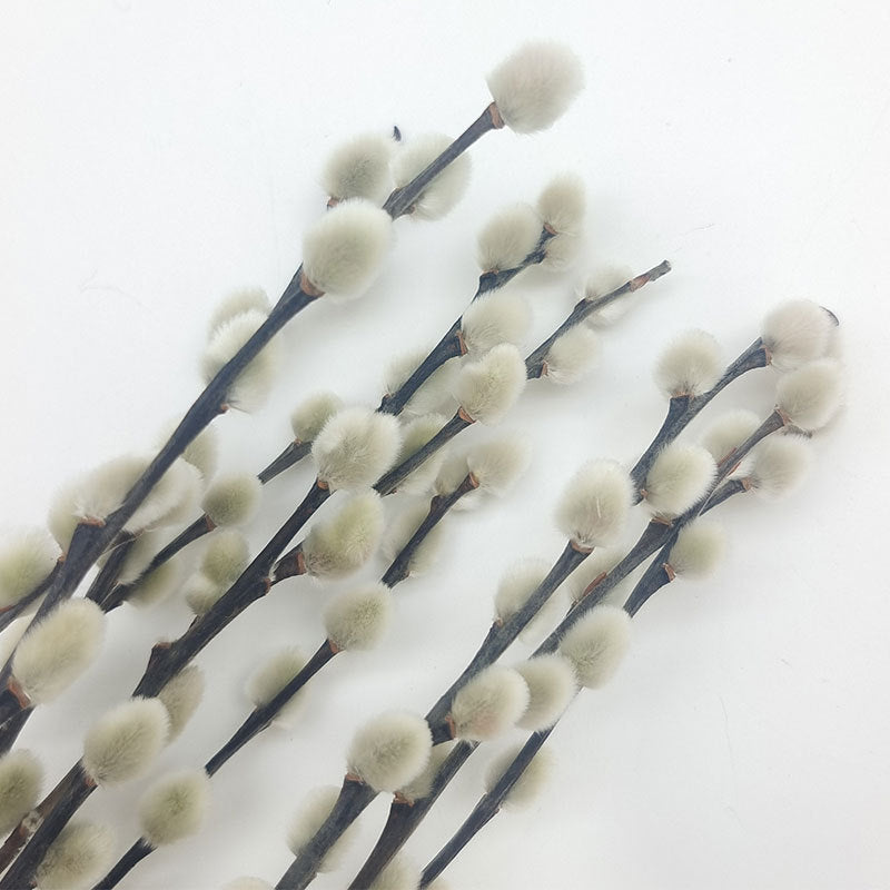 Bulk 20Pcs 17" Real Natural Dried Pussy Willow Branches Flowers Arrangements Wholesale