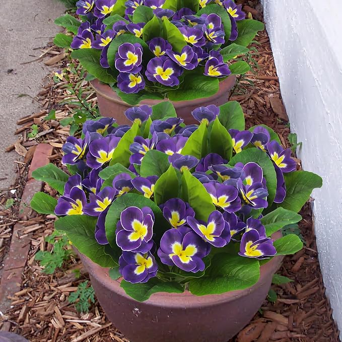 Lot de 5 fleurs de pensées artificielles en vrac de 9,8 pouces pour plantes d'extérieur résistantes aux UV en gros