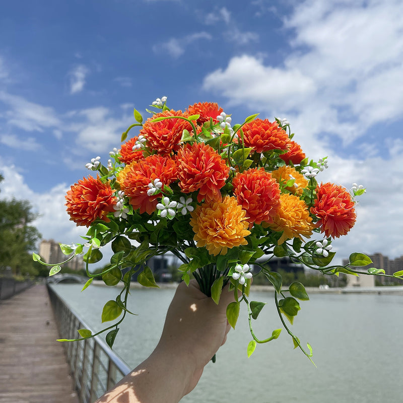 Bulk Exclusive 8 Bundles Chrysanthemum Flowers Bush for Outdoors Mum Fall Plants UV Resistant Wholesale