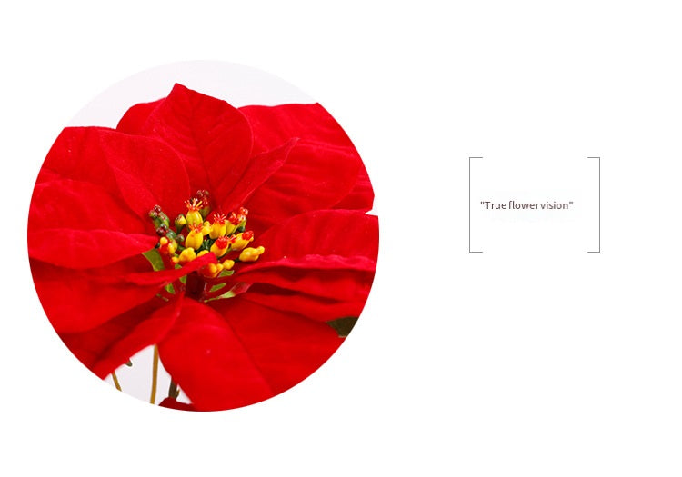 Lot de 5 tiges de poinsettia artificielles en velours de Noël, arbustes, fleurs en soie, vente en gros