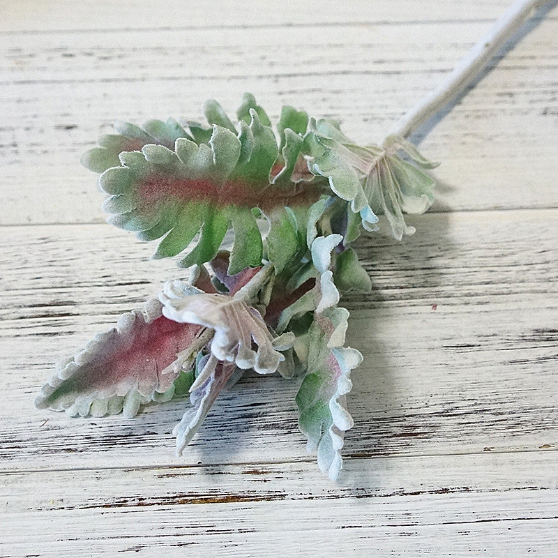 Feuilles d'oreille d'agneau en vrac de 15 pouces Tiges Dusty Miller Tiges de feuillage de séneçon argenté au toucher réel Vente en gros 