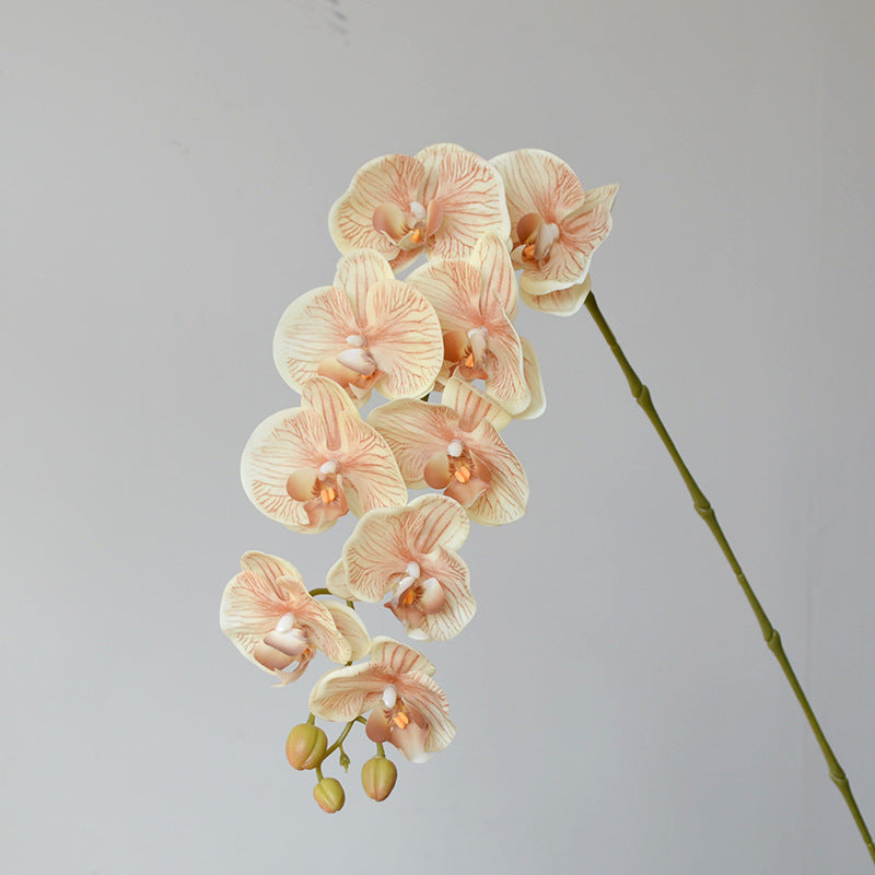 Bulk Exclusive Color 9 Heads Orchid Real Touch Artificial Flower