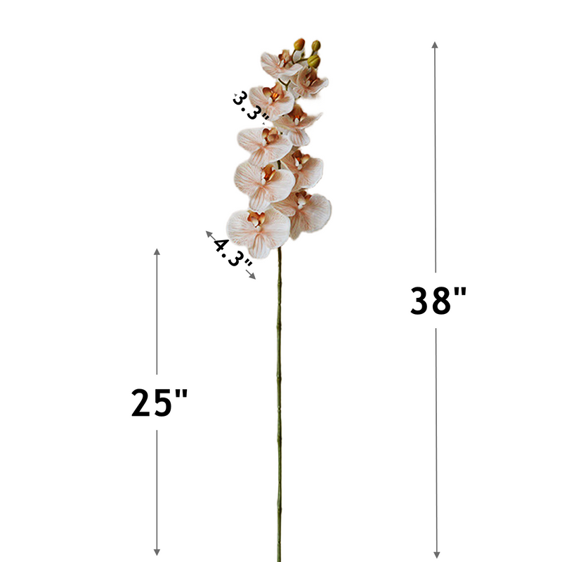 Bulk Exclusive Color 9 Heads Orchid Real Touch Artificial Flower Wholesale