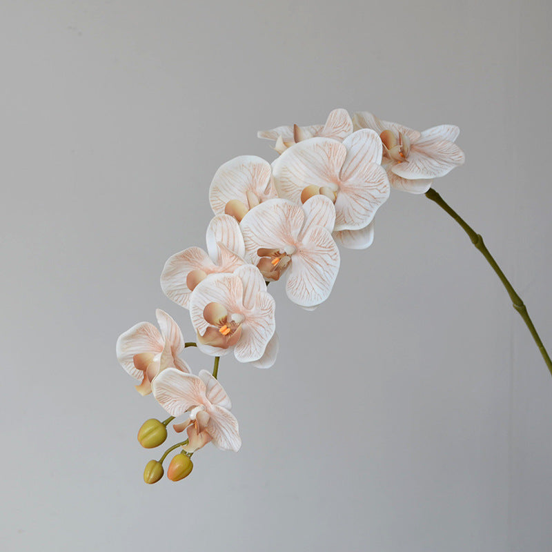 Bulk Exclusive Color 9 Heads Orchid Real Touch Artificial Flower Wholesale