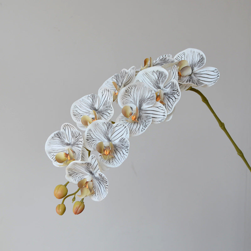 Bulk Exclusive Color 9 Heads Orchid Real Touch Artificial Flower
