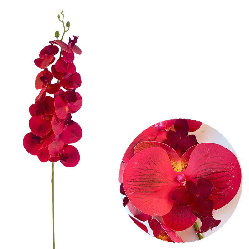 Bulk 50pcs 48 Colors 9 Heads Phalaenopsis Orchid Real Touch Flowers Stems Wholesale