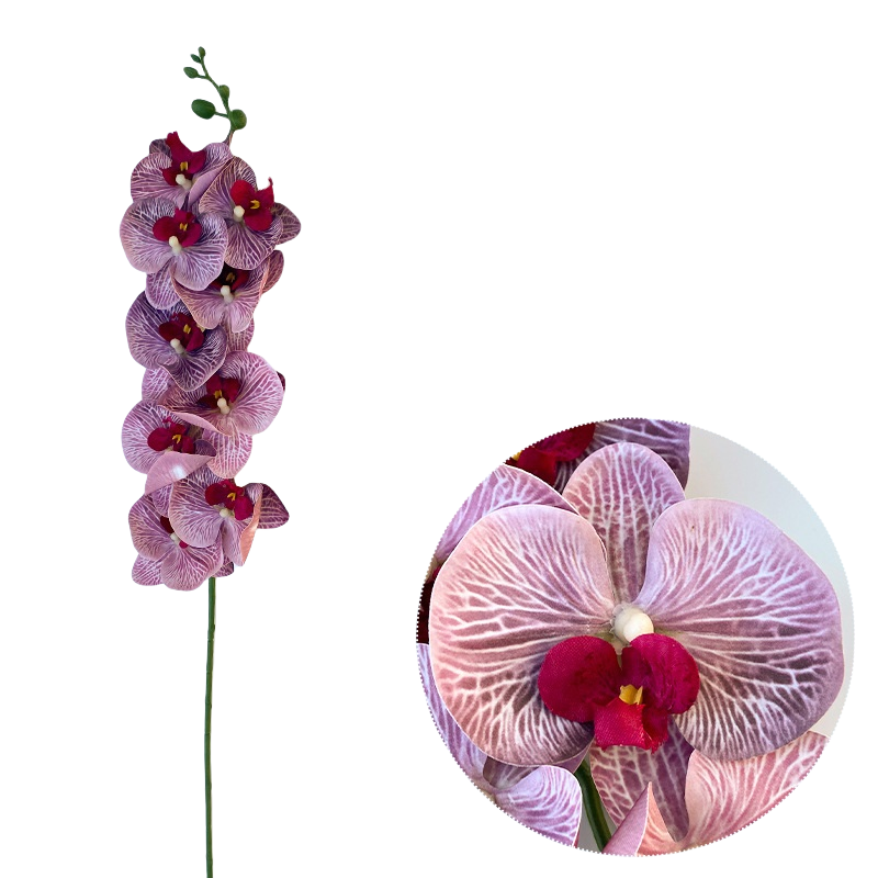 Bulk 50pcs 48 Colors 9 Heads Phalaenopsis Orchid Real Touch Flowers Stems Wholesale