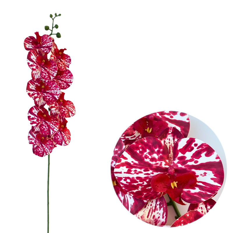 Bulk 50pcs 48 Colors 9 Heads Phalaenopsis Orchid Real Touch Flowers Stems Wholesale