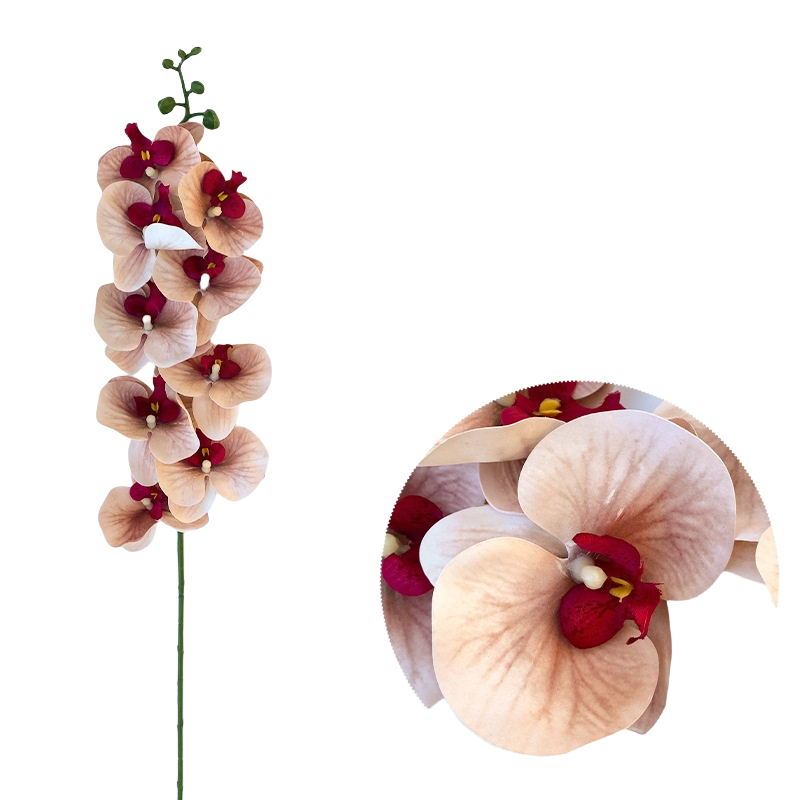 Bulk 50pcs 48 Colors 9 Heads Phalaenopsis Orchid Real Touch Flowers Stems Wholesale