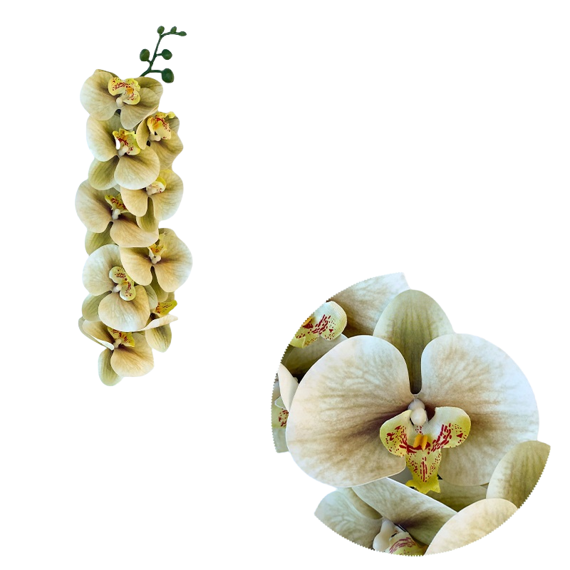 Bulk 50pcs 48 Colors 9 Heads Phalaenopsis Orchid Real Touch Flowers Stems Wholesale