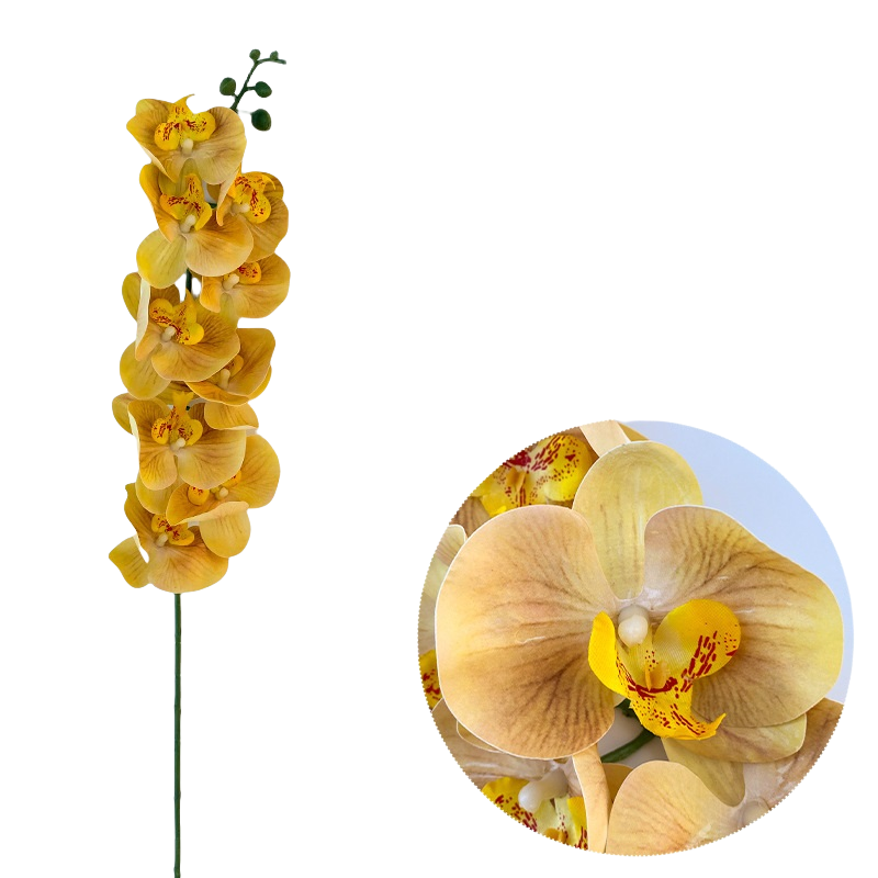 Bulk 50pcs 48 Colors 9 Heads Phalaenopsis Orchid Real Touch Flowers Stems Wholesale