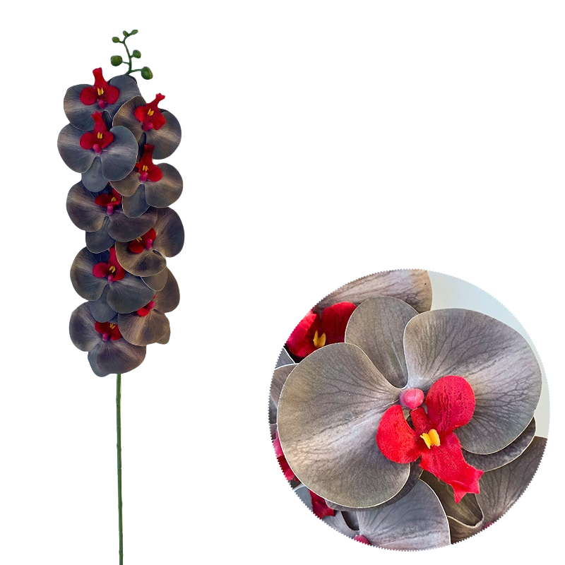 Bulk 50pcs 48 Colors 9 Heads Phalaenopsis Orchid Real Touch Flowers Stems Wholesale