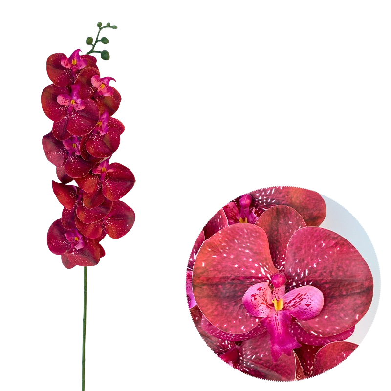 Bulk 50pcs 48 Colors 9 Heads Phalaenopsis Orchid Real Touch Flowers Stems Wholesale