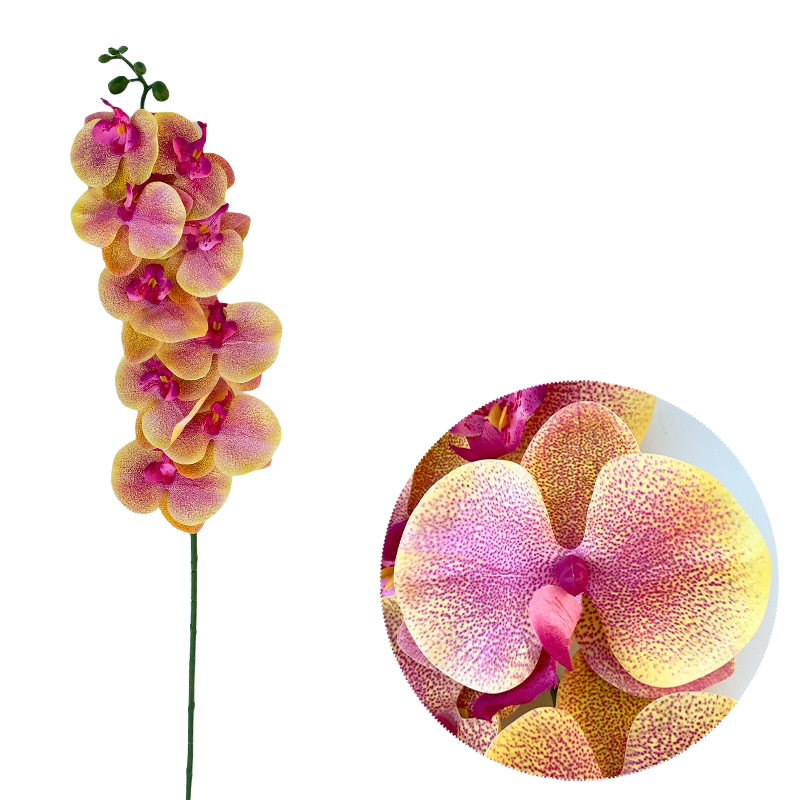 Bulk 50pcs 48 Colors 9 Heads Phalaenopsis Orchid Real Touch Flowers Stems Wholesale
