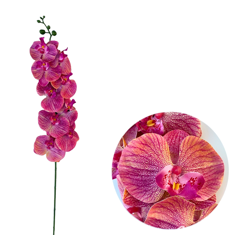 Bulk 50pcs 48 Colors 9 Heads Phalaenopsis Orchid Real Touch Flowers Stems Wholesale
