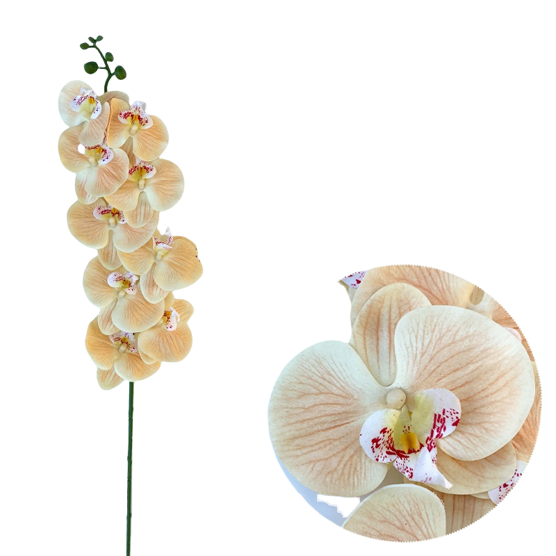Bulk 50pcs 48 Colors 9 Heads Phalaenopsis Orchid Real Touch Flowers Stems Wholesale
