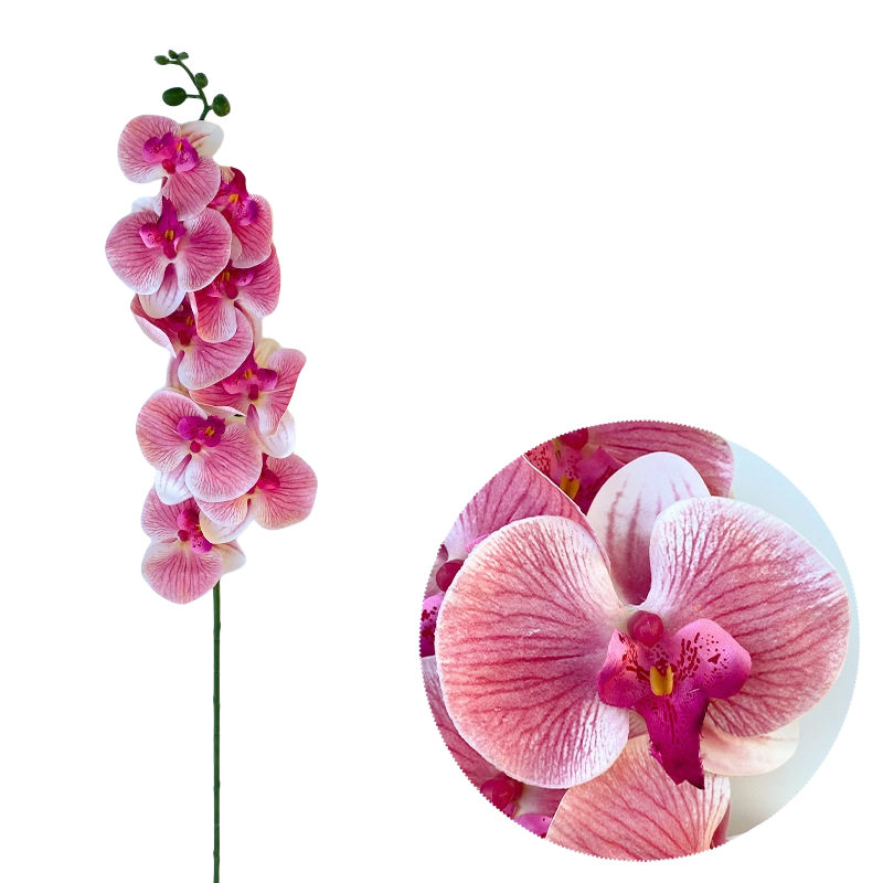 Bulk 50pcs 48 Colors 9 Heads Phalaenopsis Orchid Real Touch Flowers Stems Wholesale