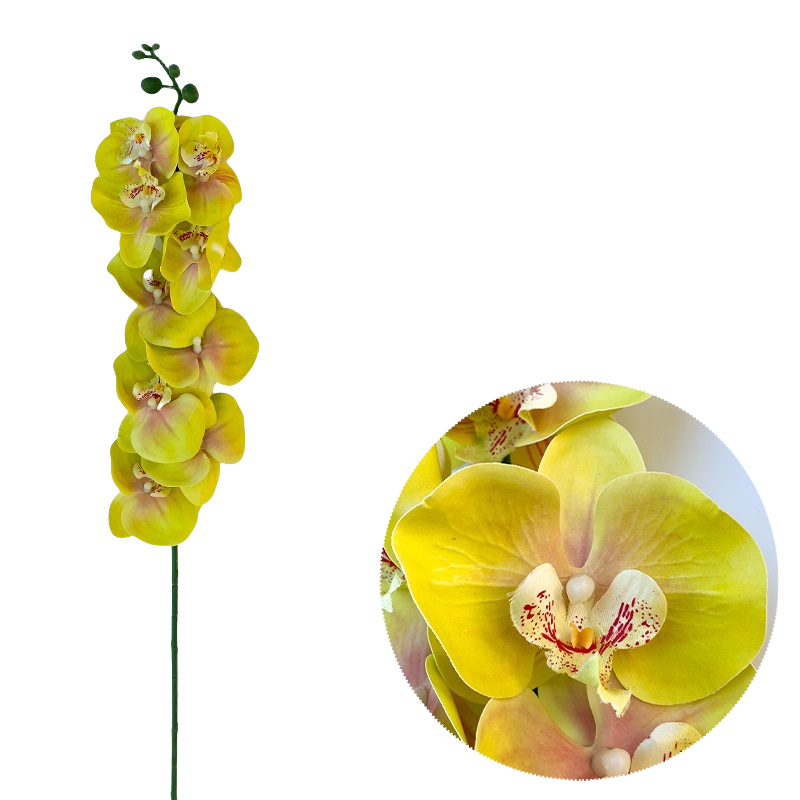 Bulk 50pcs 48 Colors 9 Heads Phalaenopsis Orchid Real Touch Flowers Stems Wholesale