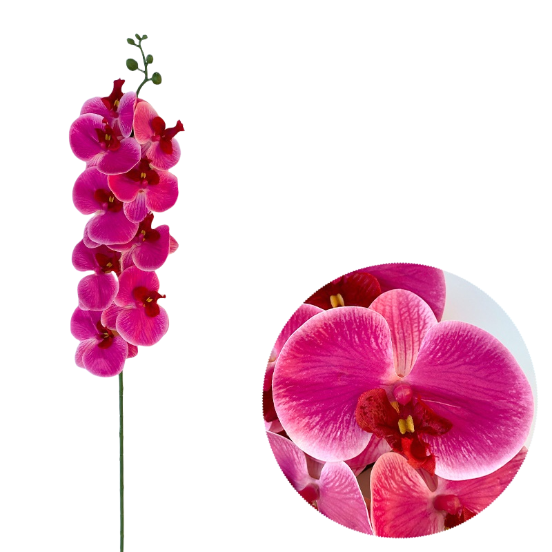 Bulk 50pcs 48 Colors 9 Heads Phalaenopsis Orchid Real Touch Flowers Stems Wholesale