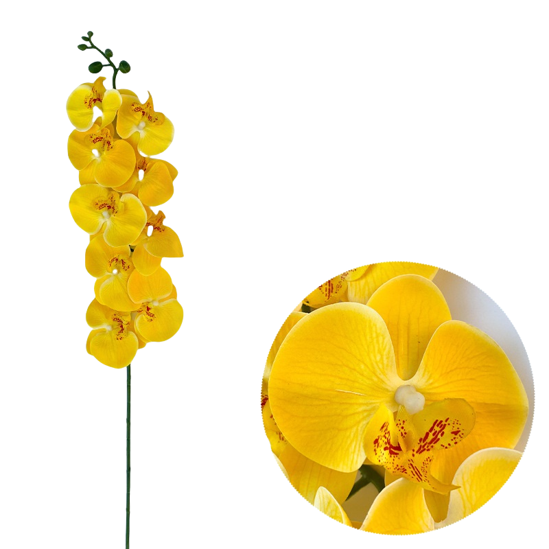 Bulk 50pcs 48 Colors 9 Heads Phalaenopsis Orchid Real Touch Flowers Stems Wholesale