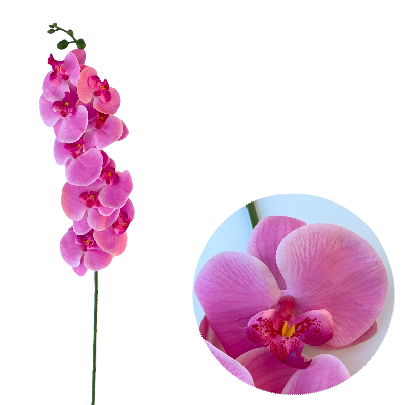 Bulk 50pcs 48 Colors 9 Heads Phalaenopsis Orchid Real Touch Flowers Stems Wholesale