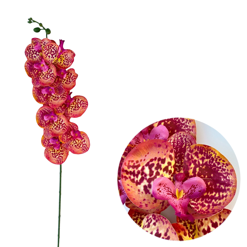 Bulk 50pcs 48 Colors 9 Heads Phalaenopsis Orchid Real Touch Flowers Stems Wholesale