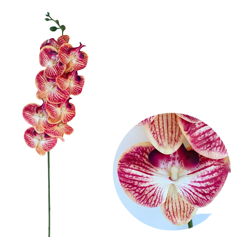 Bulk 50pcs 48 Colors 9 Heads Phalaenopsis Orchid Real Touch Flowers Stems Wholesale