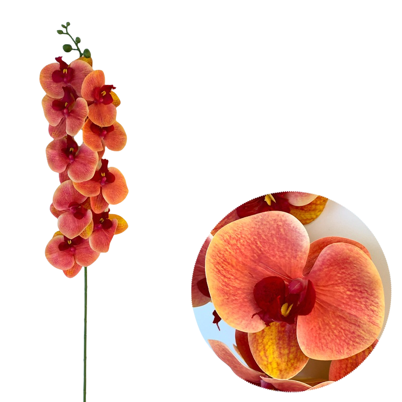 Bulk 50pcs 48 Colors 9 Heads Phalaenopsis Orchid Real Touch Flowers Stems Wholesale