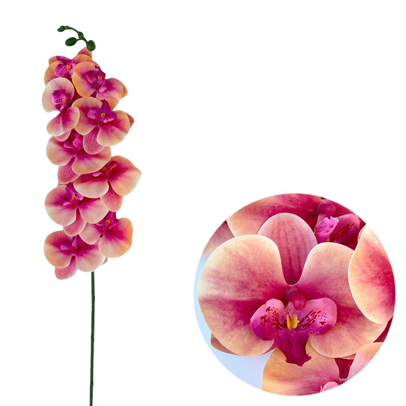 Bulk 50pcs 48 Colors 9 Heads Phalaenopsis Orchid Real Touch Flowers Stems Wholesale