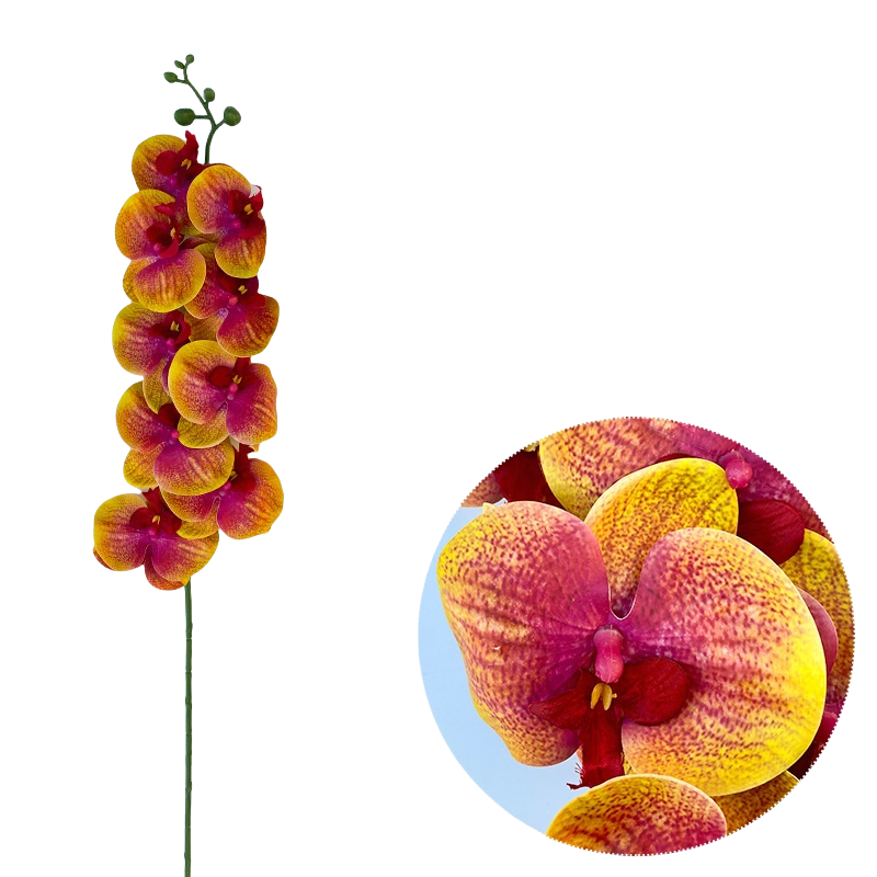 Bulk 50pcs 48 Colors 9 Heads Phalaenopsis Orchid Real Touch Flowers Stems Wholesale