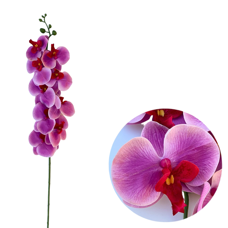 Bulk 50pcs 48 Colors 9 Heads Phalaenopsis Orchid Real Touch Flowers Stems Wholesale