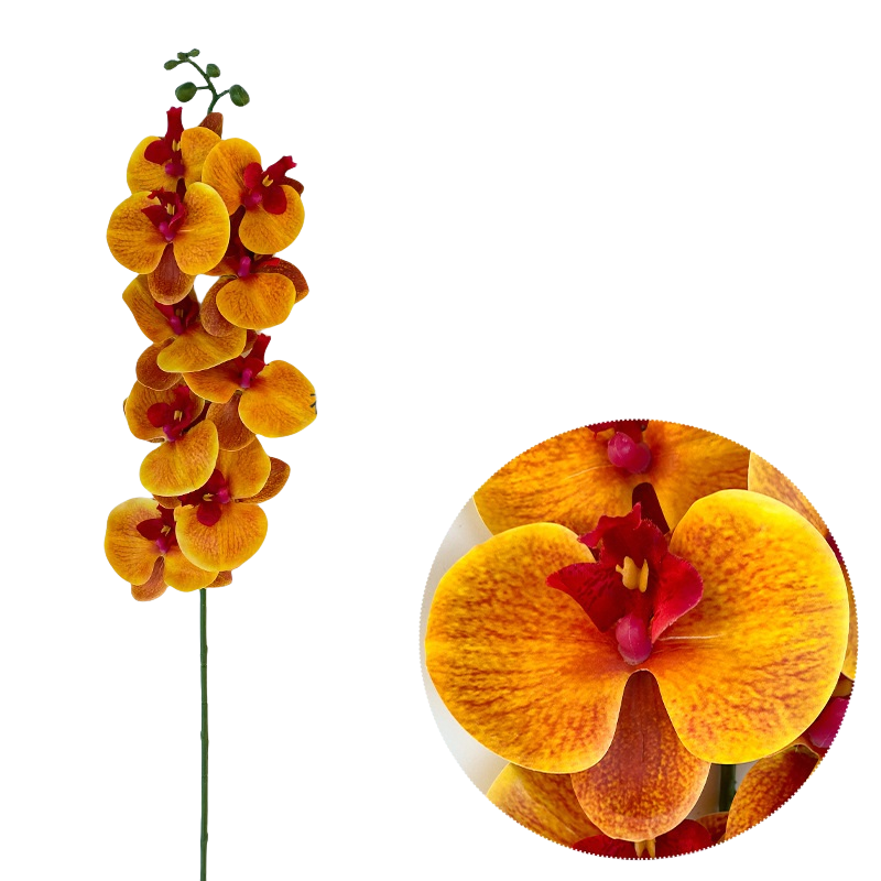 Bulk 50pcs 48 Colors 9 Heads Phalaenopsis Orchid Real Touch Flowers Stems Wholesale