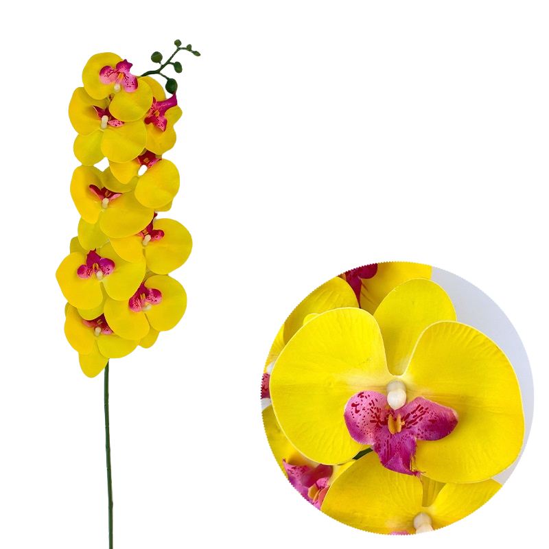 Bulk 50pcs 48 Colors 9 Heads Phalaenopsis Orchid Real Touch Flowers Stems Wholesale