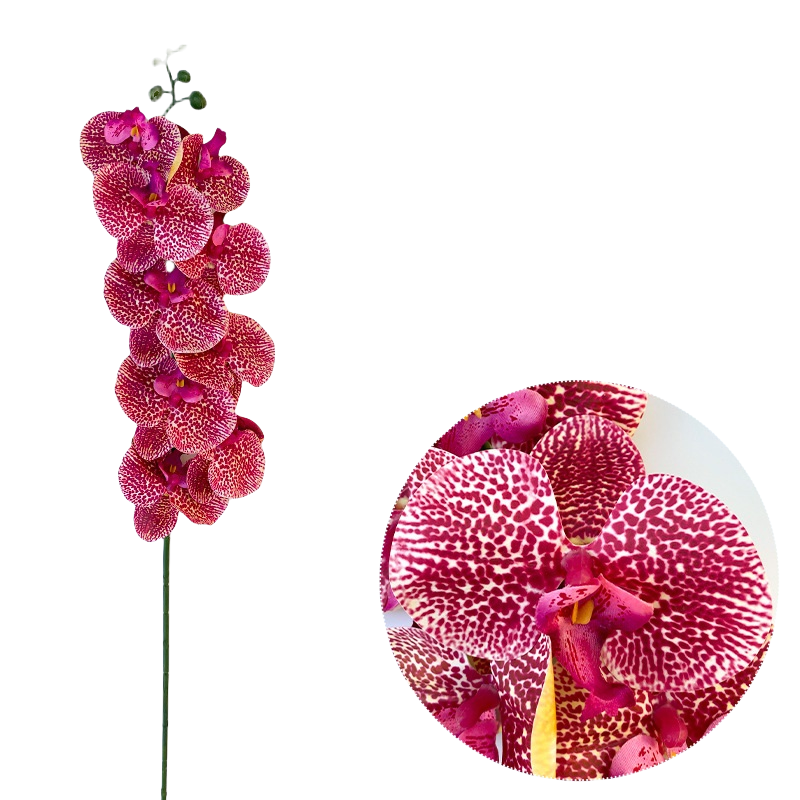 Bulk 50pcs 48 Colors 9 Heads Phalaenopsis Orchid Real Touch Flowers Stems Wholesale