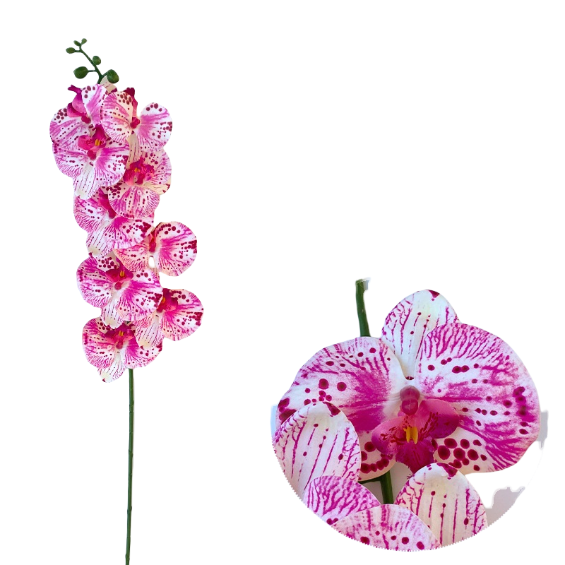 Bulk 50pcs 48 Colors 9 Heads Phalaenopsis Orchid Real Touch Flowers Stems Wholesale