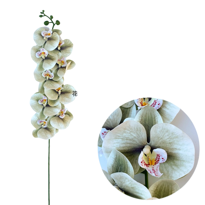 Bulk 50pcs 48 Colors 9 Heads Phalaenopsis Orchid Real Touch Flowers Stems Wholesale