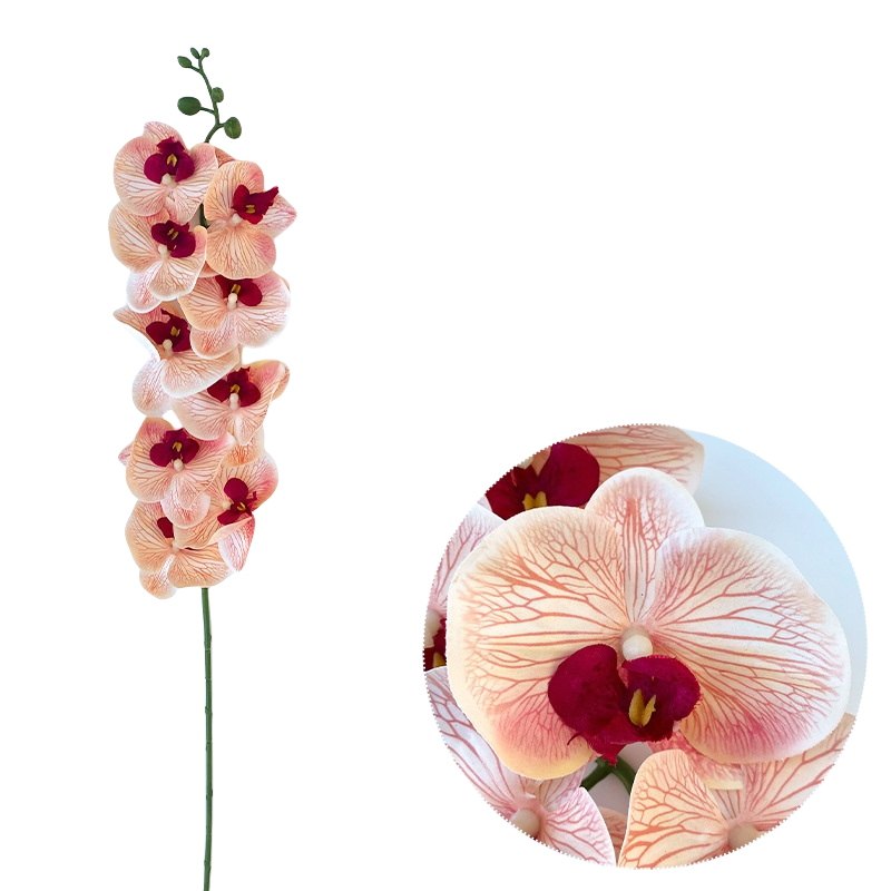 Bulk 50pcs 48 Colors 9 Heads Phalaenopsis Orchid Real Touch Flowers Stems Wholesale