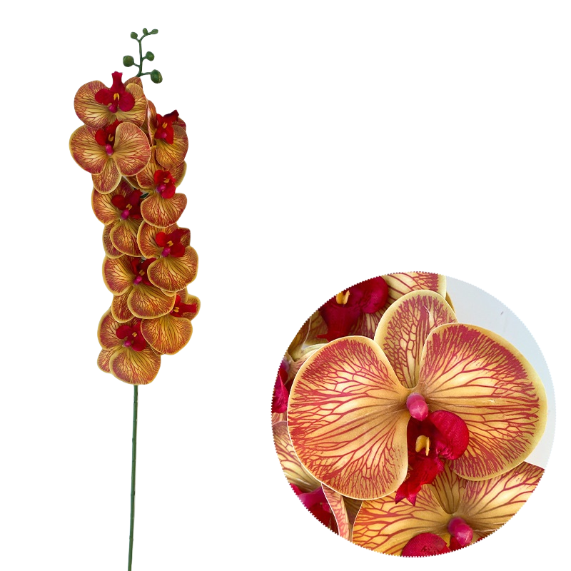 Bulk 50pcs 48 Colors 9 Heads Phalaenopsis Orchid Real Touch Flowers Stems Wholesale