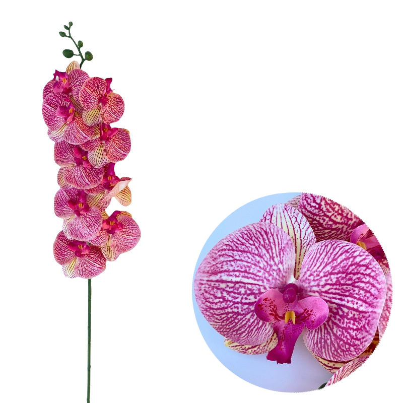 Bulk 50pcs 48 Colors 9 Heads Phalaenopsis Orchid Real Touch Flowers Stems Wholesale
