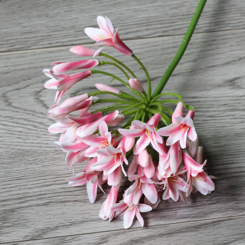 Bulk 26" Agapanthus Africanus Stems Faux African lily Fall Flowers Fall Decorations Wholesale