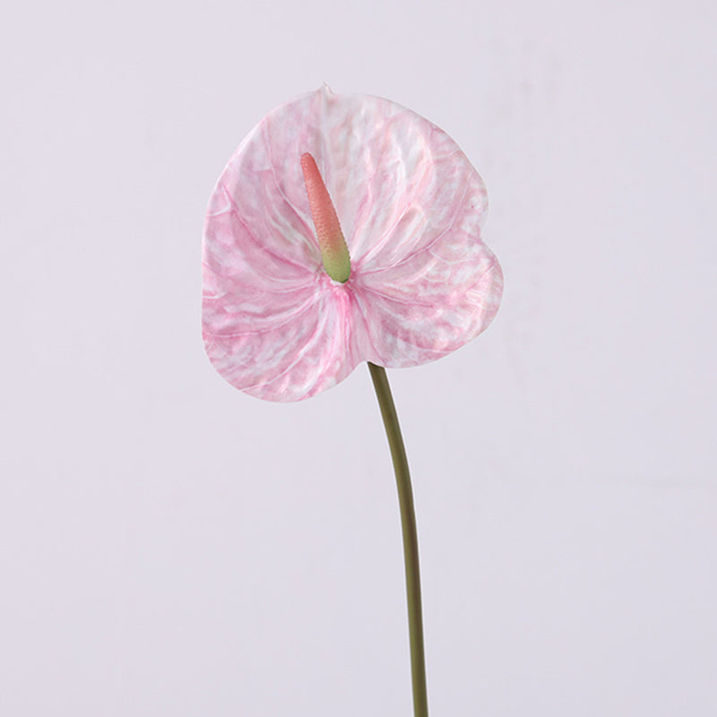 Bulk 35 inches Tall Extra Long Anthurium Stems Real Touch Flowers Wholesale